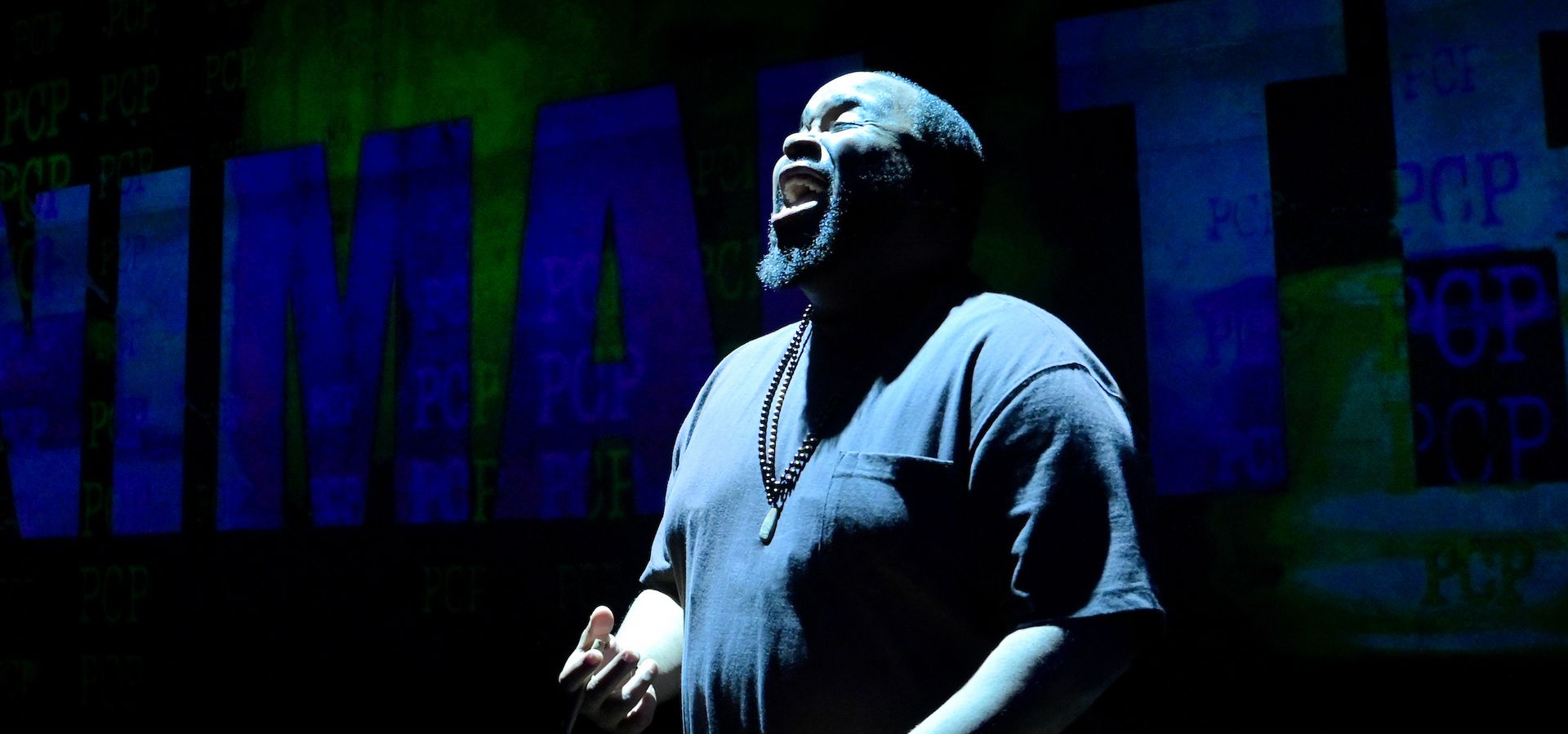 How Shakespeare Saved My Life